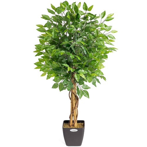 Christow artificial ficus tree - artificial,