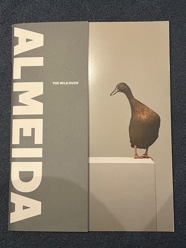 The wild duck almeida - wild,