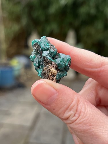 Large dioptase crystal - large,