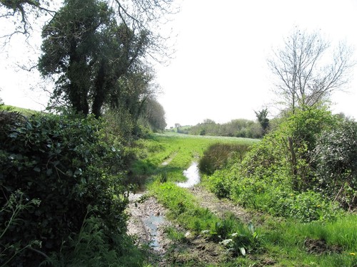 Photo 6x4 pasture land - 6x4,