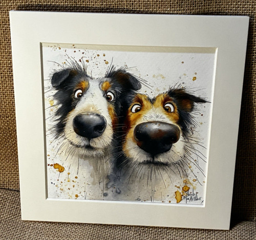 Sheltie dog mounted print - dog,