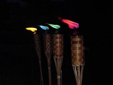 67 x Colour Tiki Torch Insert