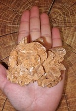 **RARE - Very LARGE** XL