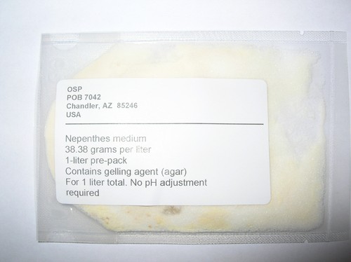 Nepenthes seed sowing flasking