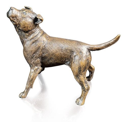 Staffordshire bull terrier - staffordshire,