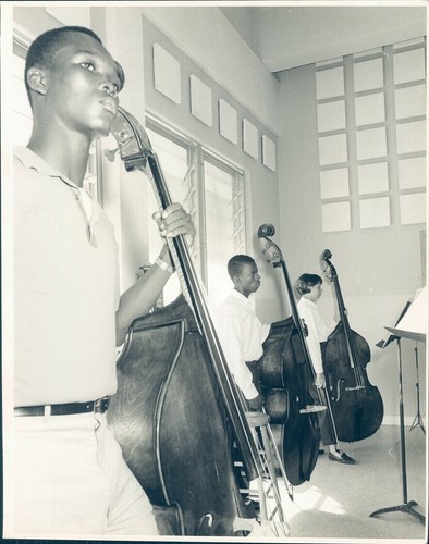 1966 timothy flemins clarence - flemins,