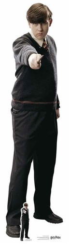 Neville longbottom harry - longbottom,