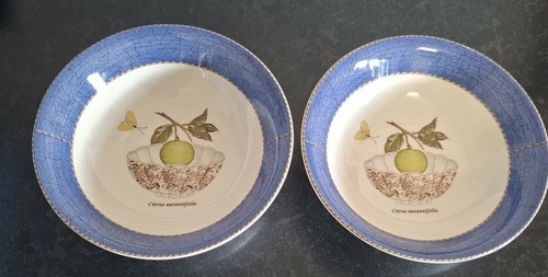 Wedgwood sarah s - 2,