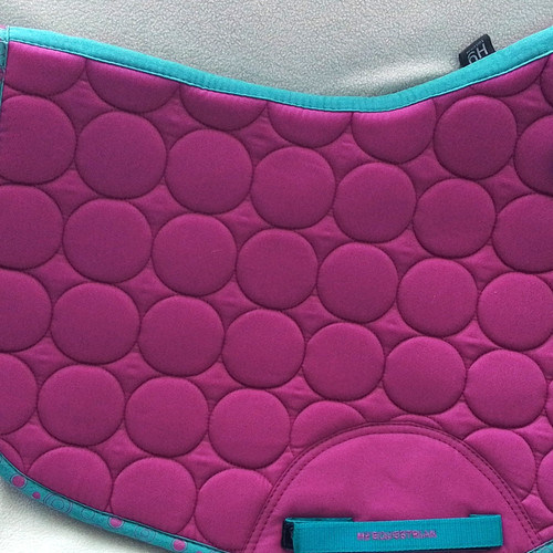 Equestrian pony cob - hy,