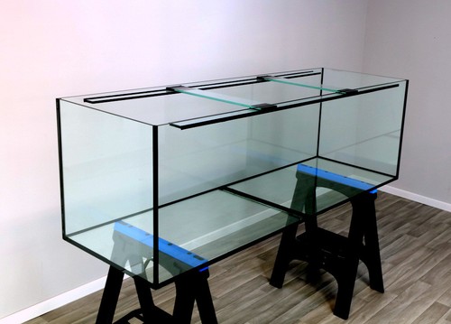 Aquarium long marine - aquarium, 7