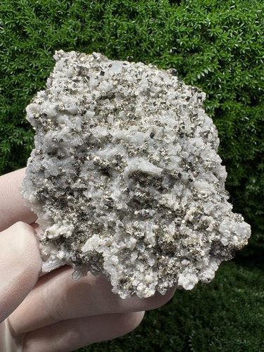 Shiny pyrite with quartz - shiny,