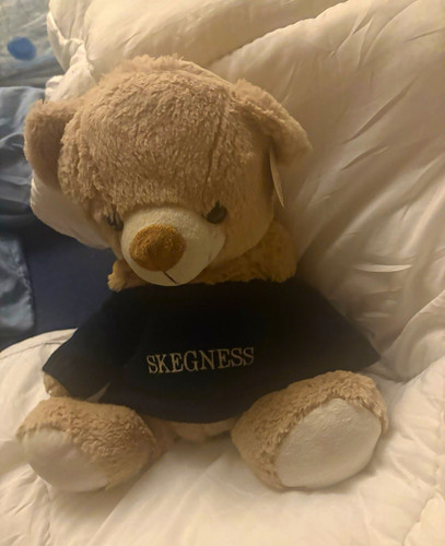 Beige plush teddy bear soft - teddy,