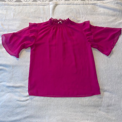 Chiffon hot pink sheer - chiffon,