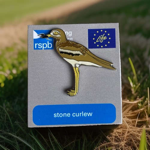 Rspb pin badge stone curlew - ,