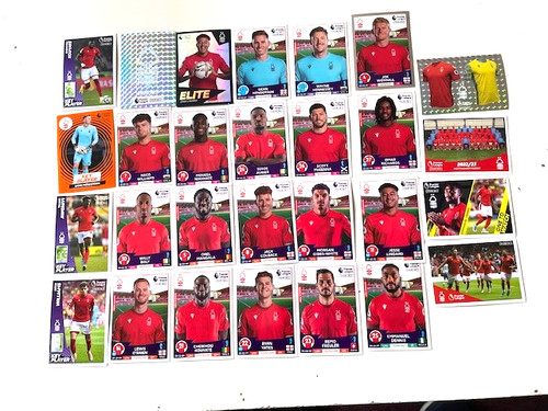 Panini premier league 2023 - panini,