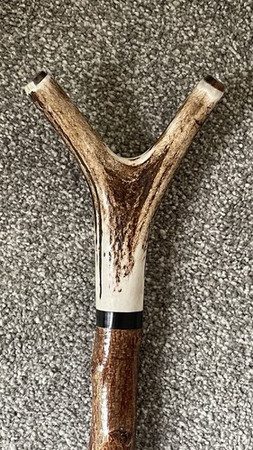 Stag horn blackthorn thumb - &,