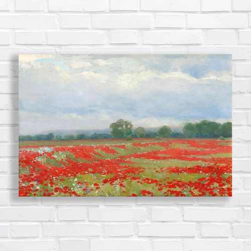 Vibrant poppy field landscape - vibrant,
