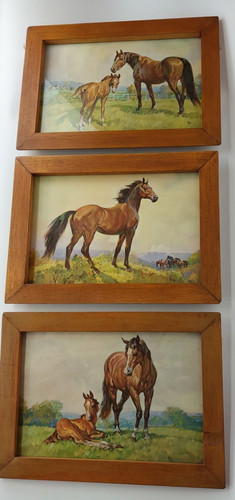 Vintage horse paintings prints - horse,