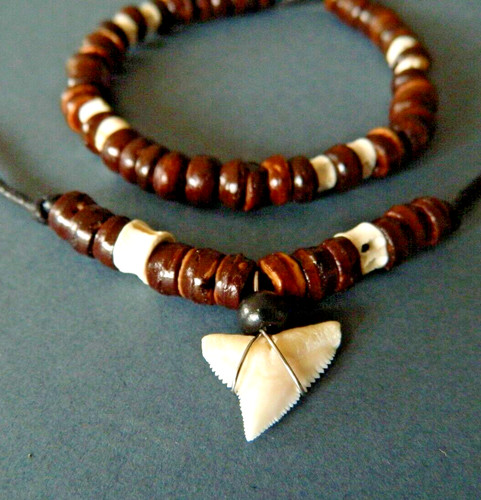 Real 1cm shark tooth - shark,