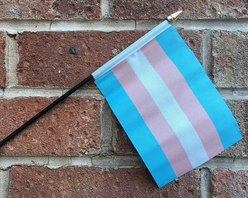 Transgender small hand waving - transgender,