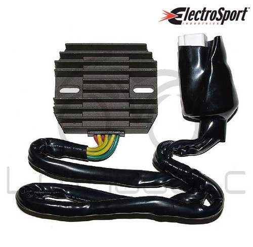 Electrosport voltage regulator - voltage,