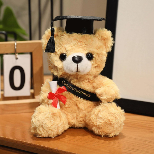 Graduation teddy present cute - teddy,,