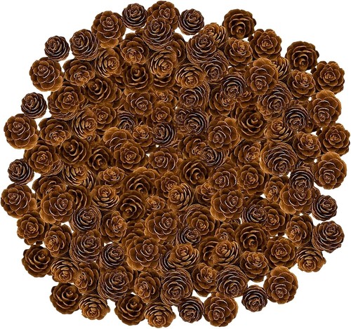 200 pcs christmas pine cones - 200,