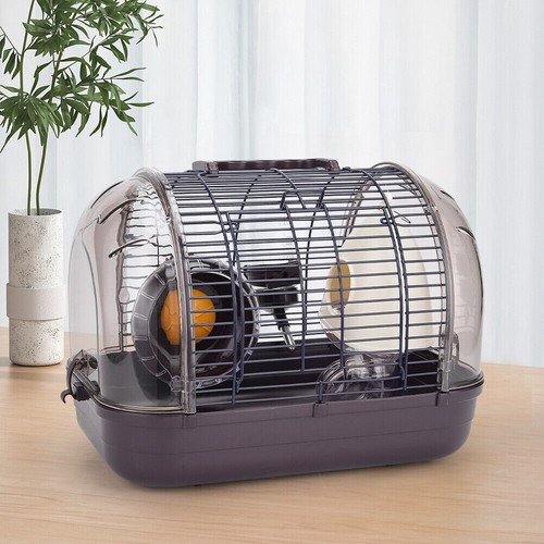 Gorgeous hamster travel - gorgeous,