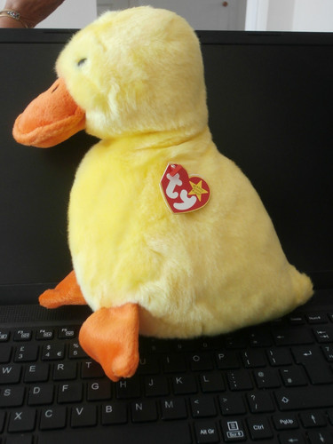Beanie baby babies - /, buddy