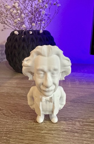 Printed einstein figure - printed,