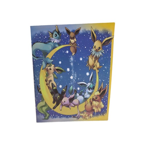 Pokemon trading card binder - trading,