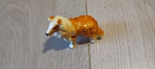 Collie dog miniature - collie,