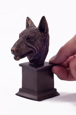 English bull terrier - bull, terrier'