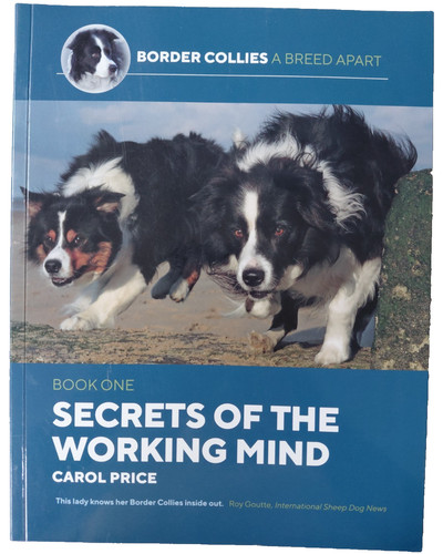 Secrets the working mind 1 - working, mind: