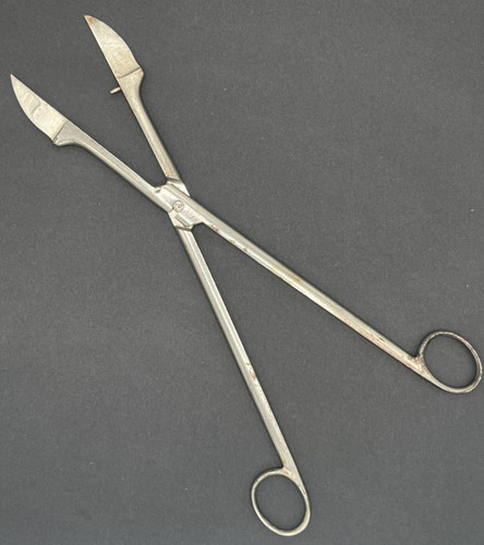 1800 cranial craniotomy - -,