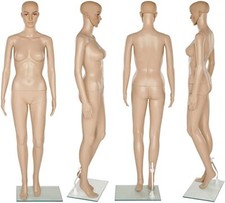 Brand New Full Body Mannequin Shop Window Display Dummy Tailors Tummy Dressmaker