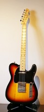 Squier Tele partscaster all
