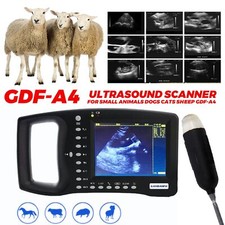 Portable Veterinary Ultrasound