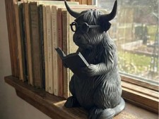 Studious Highland Cow Reading