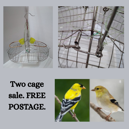 Wire double action canary - wire,