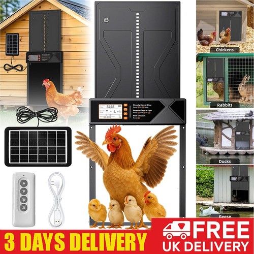 Solar chicken flap - chicken, automatic