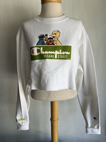 Sesame street champion - sesame, x
