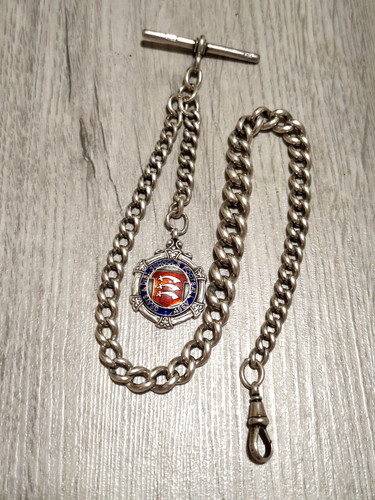 Antique sterling silver albert - antique,