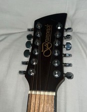 Brunswick 12-String Guitar