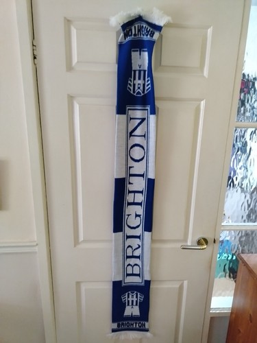 Brighton hove albion - brighton,