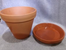 6 inch terra cotta pot with