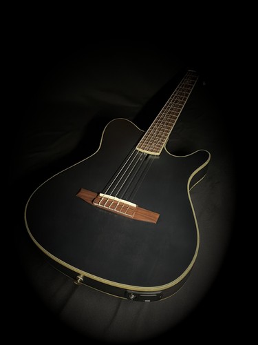 Ibanez tod10n tim - ibanez,