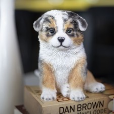 SoReal Australian Shepherd