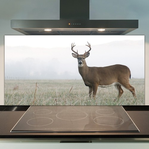 Glass kitchen splashback tile - glass,