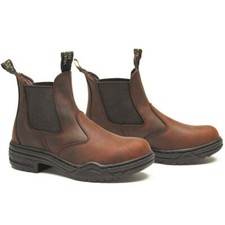 Mountain Horse Stable Jodphur